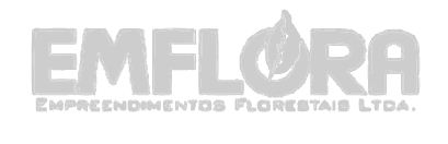 Logo Emflora